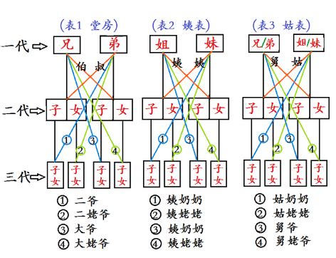 表堂怎麼分|漢語親屬系統